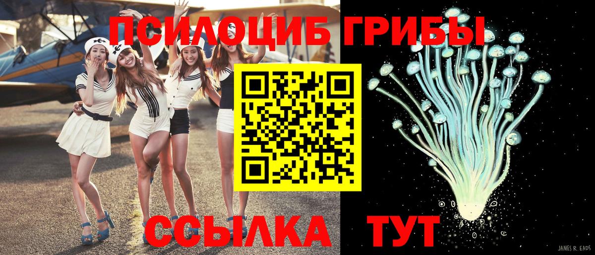Псилоцибиновые грибы Magic Shrooms Миасс